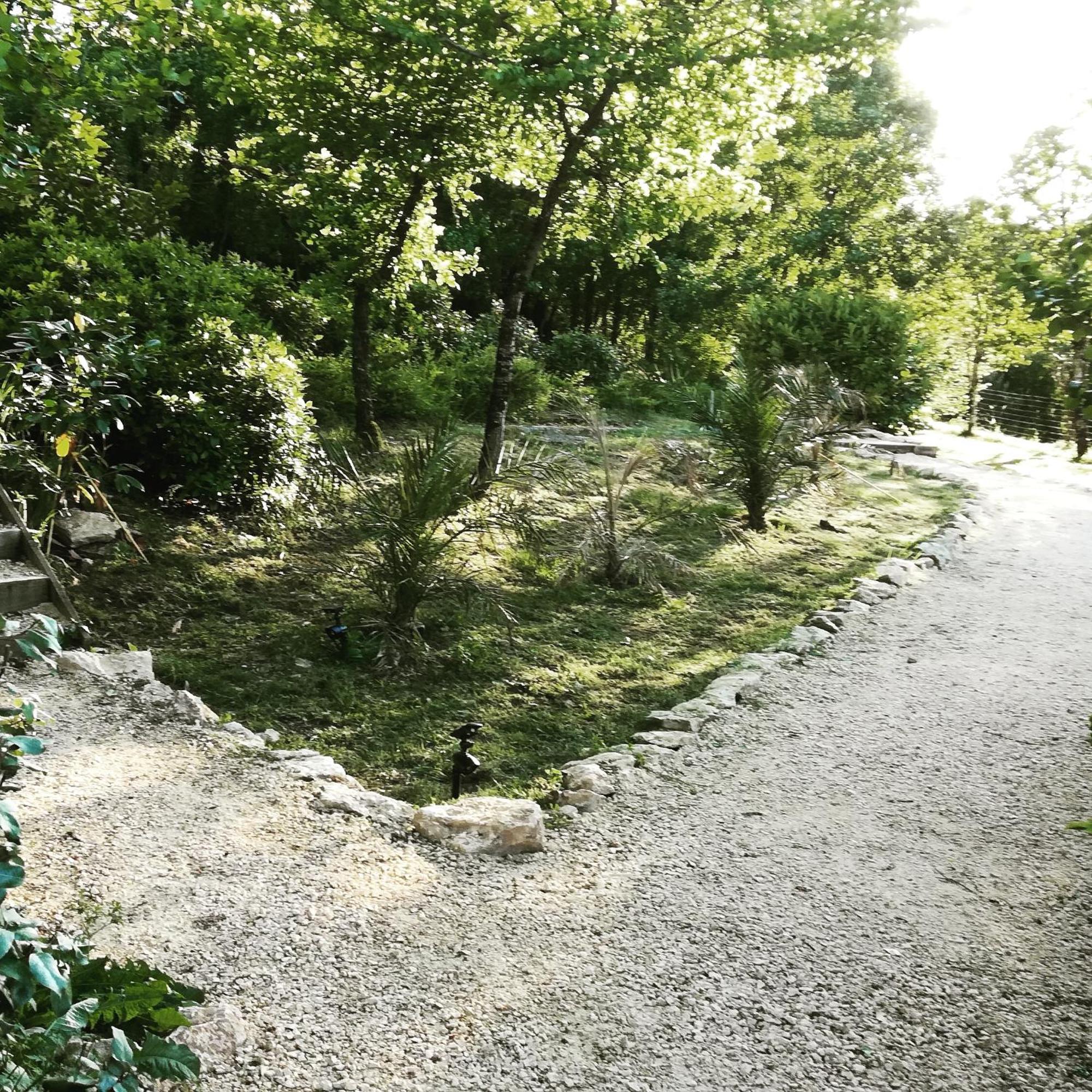 Bed and Breakfast La Source Saint-Cybranet Экстерьер фото